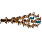 NANDI BULLS - Image 4
